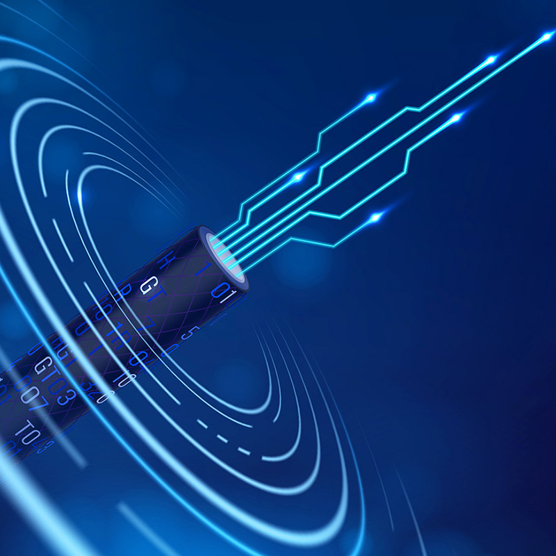 A Lianou Electric innovatív termékeket mutat be a Nemzetközi Elektrotechnikai Expón, a zöld trend élén